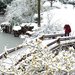 台山市好玩的地方